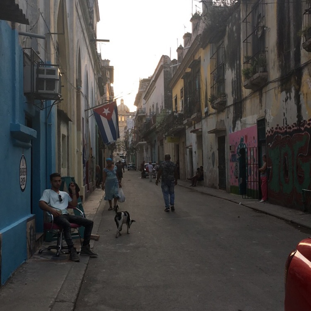 Meet your Posher, Neema